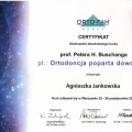 Powiększ obraz: certificate 17