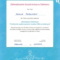 Powiększ obraz: certificate 2