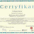 Powiększ obraz: certificate 14