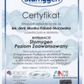 Powiększ obraz: certificate 31