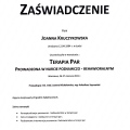 Powiększ obraz: certificate 2