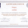 Powiększ obraz: certificate 21