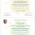 Powiększ obraz: certificate 1