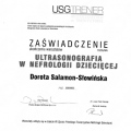 Powiększ obraz: certificate 2