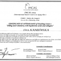 Powiększ obraz: certificate 26