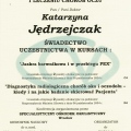 Powiększ obraz: certificate 3