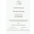 Powiększ obraz: certificate 13