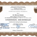 Powiększ obraz: certificate 2