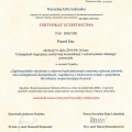Powiększ obraz: certificate 21