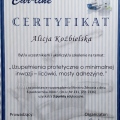 Powiększ obraz: certificate 14