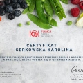Powiększ obraz: certificate 1