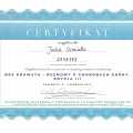 Powiększ obraz: certificate 3