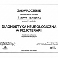Powiększ obraz: certificate 4