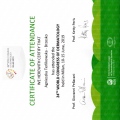Powiększ obraz: certificate 4