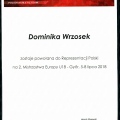 Powiększ obraz: certificate 38