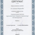 Powiększ obraz: certificate 2