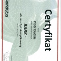 Powiększ obraz: certificate 13