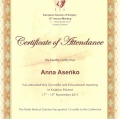 Powiększ obraz: certificate 13