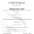 Powiększ obraz: certificate 1