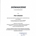 Powiększ obraz: certificate 3