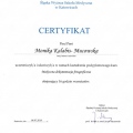 Powiększ obraz: certificate 14