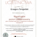 Powiększ obraz: certificate 11