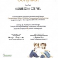 Powiększ obraz: certificate 12