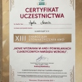Powiększ obraz: certificate 23