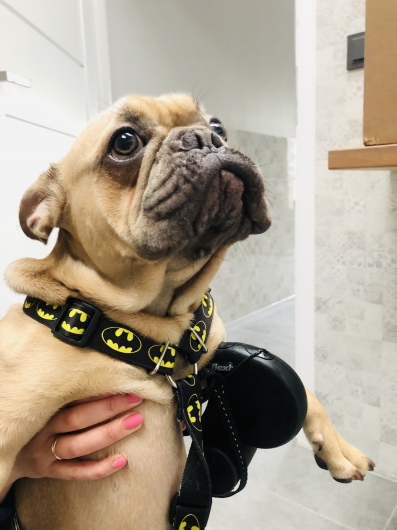 Magdalena Lipiec-Kwiatek-3