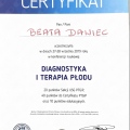 Powiększ obraz: certificate 4