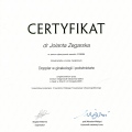 Powiększ obraz: certificate 9