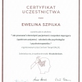 Powiększ obraz: certificate 36