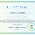 Powiększ obraz: certificate 44
