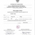 Powiększ obraz: certificate 1