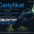 Powiększ obraz: certificate 8