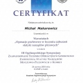 Powiększ obraz: certificate 7