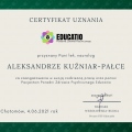 Powiększ obraz: certificate 1