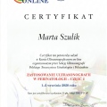 Powiększ obraz: certificate 9