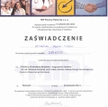 Powiększ obraz: certificate 42