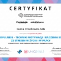 Powiększ obraz: certificate 1