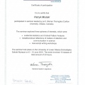 Powiększ obraz: certificate 16