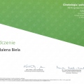 Powiększ obraz: certificate 8