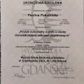 Powiększ obraz: certificate 9