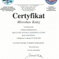 Powiększ obraz: certificate 11