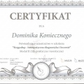 Powiększ obraz: certificate 2