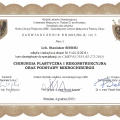 Powiększ obraz: certificate 3