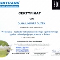 Powiększ obraz: certificate 3