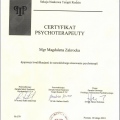 Powiększ obraz: certificate 1