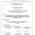 Powiększ obraz: certificate 9