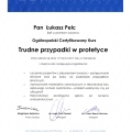 Powiększ obraz: certificate 13